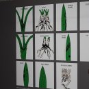 한란전시관 이미지