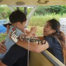 대가야역사테마관광지 캠핑장 이미지