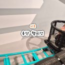 챔피언 | 서울 용산 아이랑 챔피언 다녀온 후기