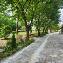 호수공원_중앙광장 이미지