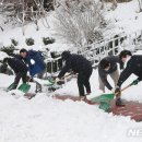 동해시청 이미지