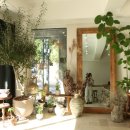 삼성화이트피부과의원 이미지