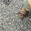 신리경로당 이미지