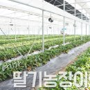 기농장 네이버블로그