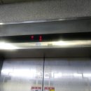 조엔리