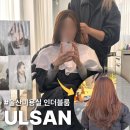 인더블룸 | 울산 머리 잘하는집 가성비 미용실 추천 뿌리매직 삼산동 인더블룸 내돈내산 후기