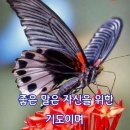 ♤아버지와 소(牛)♧ 이미지