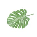 썬라이즈풀빌라앤펜션 이미지