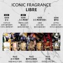 오 판소리(기초편) | 입생로랑 향수 리브르 오 드 빠르펭 불호자의 재구매 후기