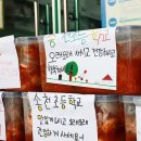 송천초등학교 이미지