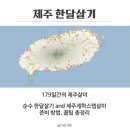 세화PC랜드 | [제주한달살기 完] 제주한달살기/제주게하스텝후기 Q&amp;A(준비방법,꿀팁)