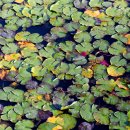 용지문화공원 이미지