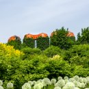 태신목장 이미지