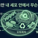 NR-40[만수로]-상-25 | 🌿 봄맞이 세포해독 다이어트 시리즈 | 7편