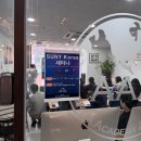 AAA Korea 네이버블로그