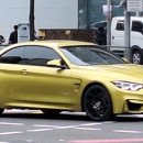 F83 | 여태까지 서울에서 목격한 차량입니다