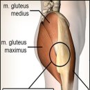 365마디척한의원 이미지