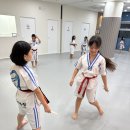 마린태권도장 이미지