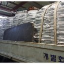 무장초등길 이미지