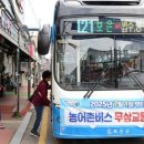 보은 이미지