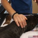 남산동물병원 이미지