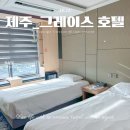 제주그레이스호텔 | 제주 서귀포 가성비 숙소 그레이스 호텔 주차장 내돈내산 후기