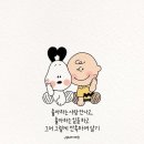 윤정헤어 이미지