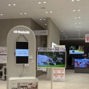케어솔루션교원캐시백청구 | 가전 :: LG 베스트샵 비대면 견적 비교 후 결정 후기(긴글, 꿀팁)