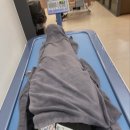 상도바른정형외과의원 이미지