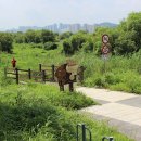 월평공원 습지길 이미지