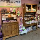 허브슈 이미지