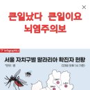 말라리아 모기 조심하세요 긴팔 긴바지 옷입고 다니세요 우리나라도 말라리아 주의보 이미지