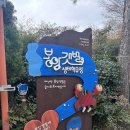 창원 아이랑 가볼만한 곳 마산만 봉암갯벌생태학습장