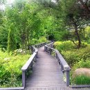 5월3일(일)불암산철쭉동산&amp;허릿길~백세문트레킹 이미지