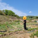 진흥농약사 이미지