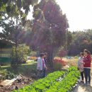 고향참기름집 이미지