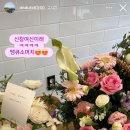 꽃보다예쁘개 이미지
