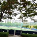 연세대학교삼애캠퍼스연세대야구장 네이버블로그