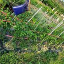 백양산체육공원 이미지