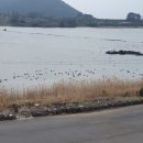 하도 조은 이미지