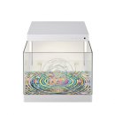 운동화스팀케어 이미지