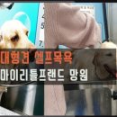 싸다요 이미지