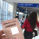 호약국 | 일본 대마도 여행 공항이 아닌 부산항 국제여객터미널 씨플라워호 그리고 배멀미 후기