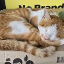 구산오토캠핑장 이미지