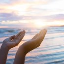 하루다과 이미지