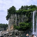 효도소머리국밥