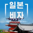 대신국제여행사 이미지