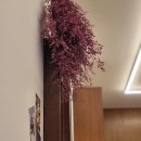 카페프리헷 파주운정점