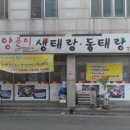 평택 : 동태찌개가 유명한 [이대감]다녀왔어요