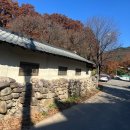 치산돌담모과마을 | 대구 근교 단풍구경 가볼 만한 곳 : 군위 한밤마을, 팔공산 둘레길